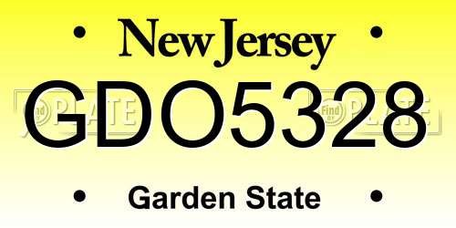 GDO5328 New Jersey License Plate