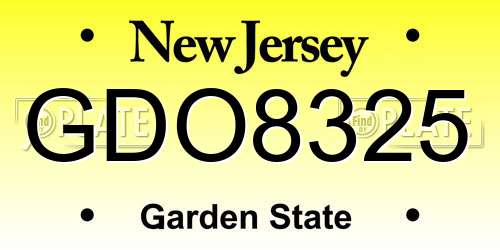 GDO8325 New Jersey License Plate