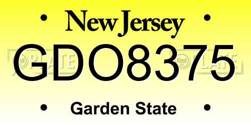 GDO8375 New Jersey License Plate