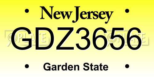 GDZ3656 New Jersey License Plate