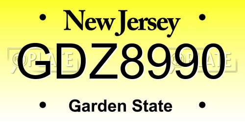 GDZ8990 New Jersey License Plate