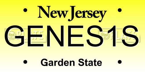 GENES1S New Jersey License Plate