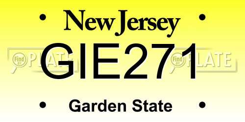 GIE271 New Jersey License Plate