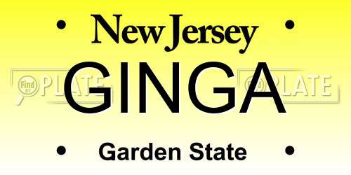 GINGA New Jersey License Plate