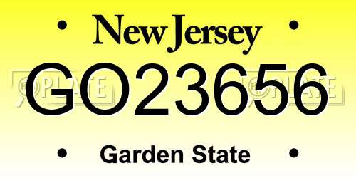 GO23656 New Jersey License Plate