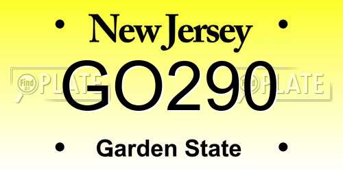 GO290 New Jersey License Plate