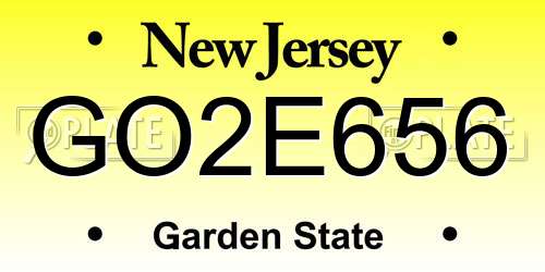 GO2E656 New Jersey License Plate