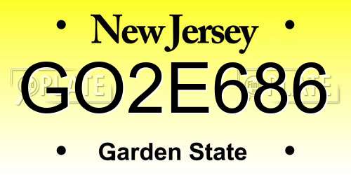 GO2E686 New Jersey License Plate