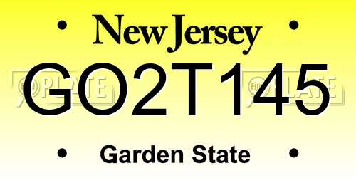GO2T145 New Jersey License Plate