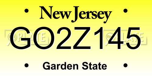 GO2Z145 New Jersey License Plate