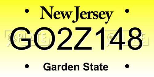 GO2Z148 New Jersey License Plate