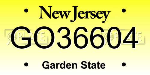 GO36604 New Jersey License Plate