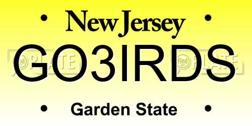 GO3IRDS New Jersey License Plate