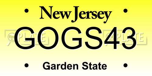 GOGS43 New Jersey License Plate