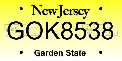 GOK8538 New Jersey License Plate
