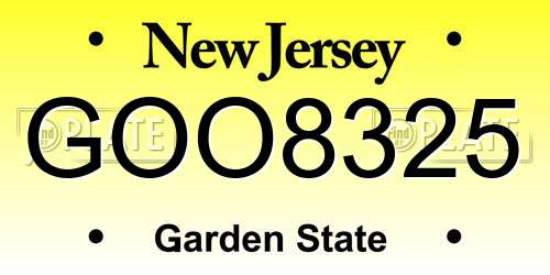 GOO8325 New Jersey License Plate