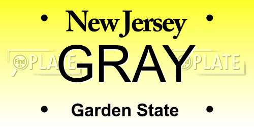 GRAY New Jersey License Plate