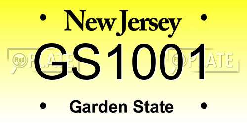 GS1001 New Jersey License Plate