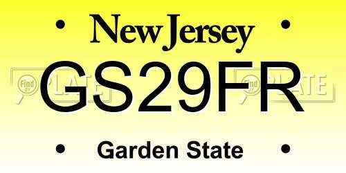 GS29FR New Jersey License Plate