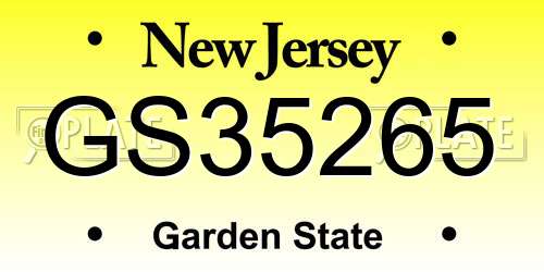 GS35265 New Jersey License Plate