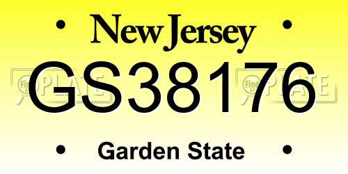 GS38176 New Jersey License Plate