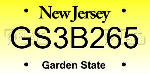 GS3B265 New Jersey License Plate