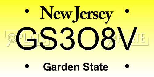 GS3O8V New Jersey License Plate