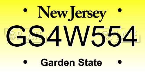 GS4W554 New Jersey License Plate