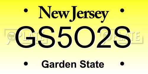 GS5O2S New Jersey License Plate
