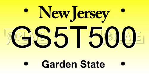 GS5T500 New Jersey License Plate