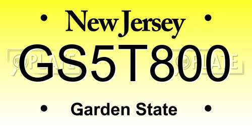 GS5T800 New Jersey License Plate