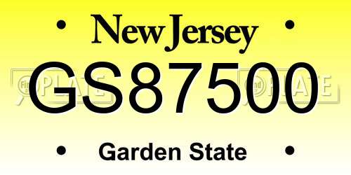 GS87500 New Jersey License Plate