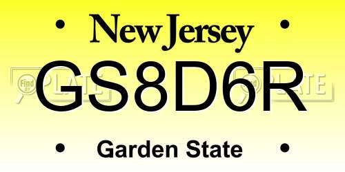 GS8D6R New Jersey License Plate