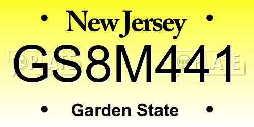 GS8M441 New Jersey License Plate