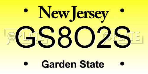 GS8O2S New Jersey License Plate