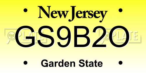 GS9B2O New Jersey License Plate