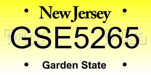 GSE5265 New Jersey License Plate