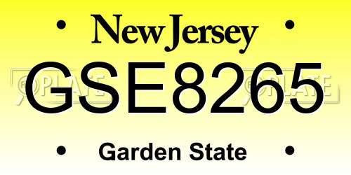 GSE8265 New Jersey License Plate