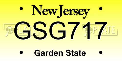 GSG717 New Jersey License Plate
