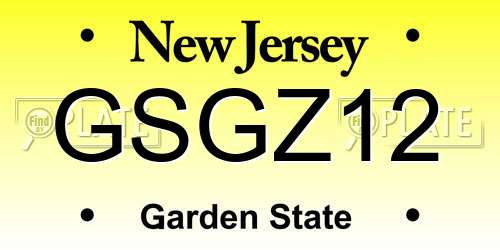 GSGZ12 New Jersey License Plate