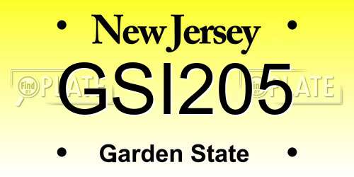 GSI205 New Jersey License Plate