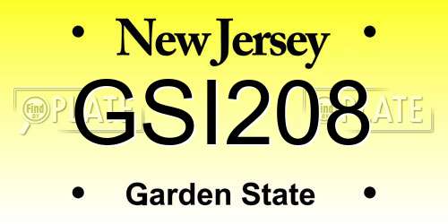 GSI208 New Jersey License Plate