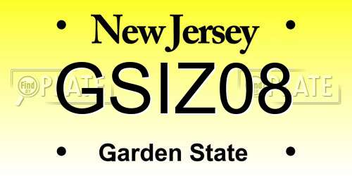 GSIZ08 New Jersey License Plate