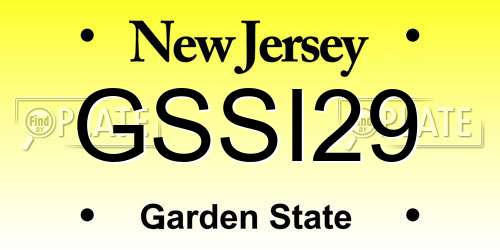 GSSI29 New Jersey License Plate