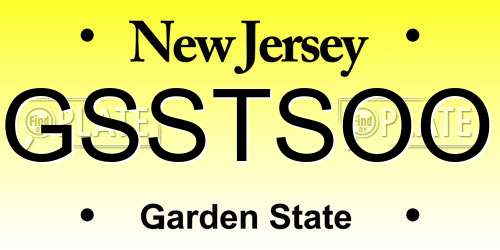 GSSTSOO New Jersey License Plate