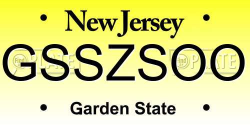 GSSZSOO New Jersey License Plate