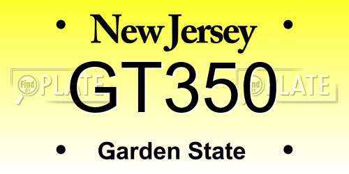 GT350 New Jersey License Plate