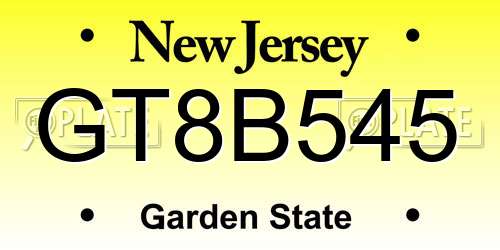 GT8B545 New Jersey License Plate