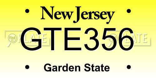GTE356 New Jersey License Plate