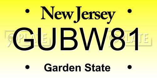 GUBW81 New Jersey License Plate